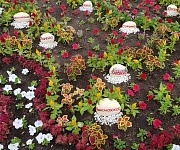 «Край родной, навек любимый!» Фестиваль цветников «Край родной, навек любимый!» Фестиваль цветников