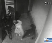 Кража велосипедов по адресу: ул. Чугунова, д. 15а зафиксирована на видеокамеру Кража велосипедов по адресу: ул. Чугунова, д. 15а зафиксирована на видеокамеру